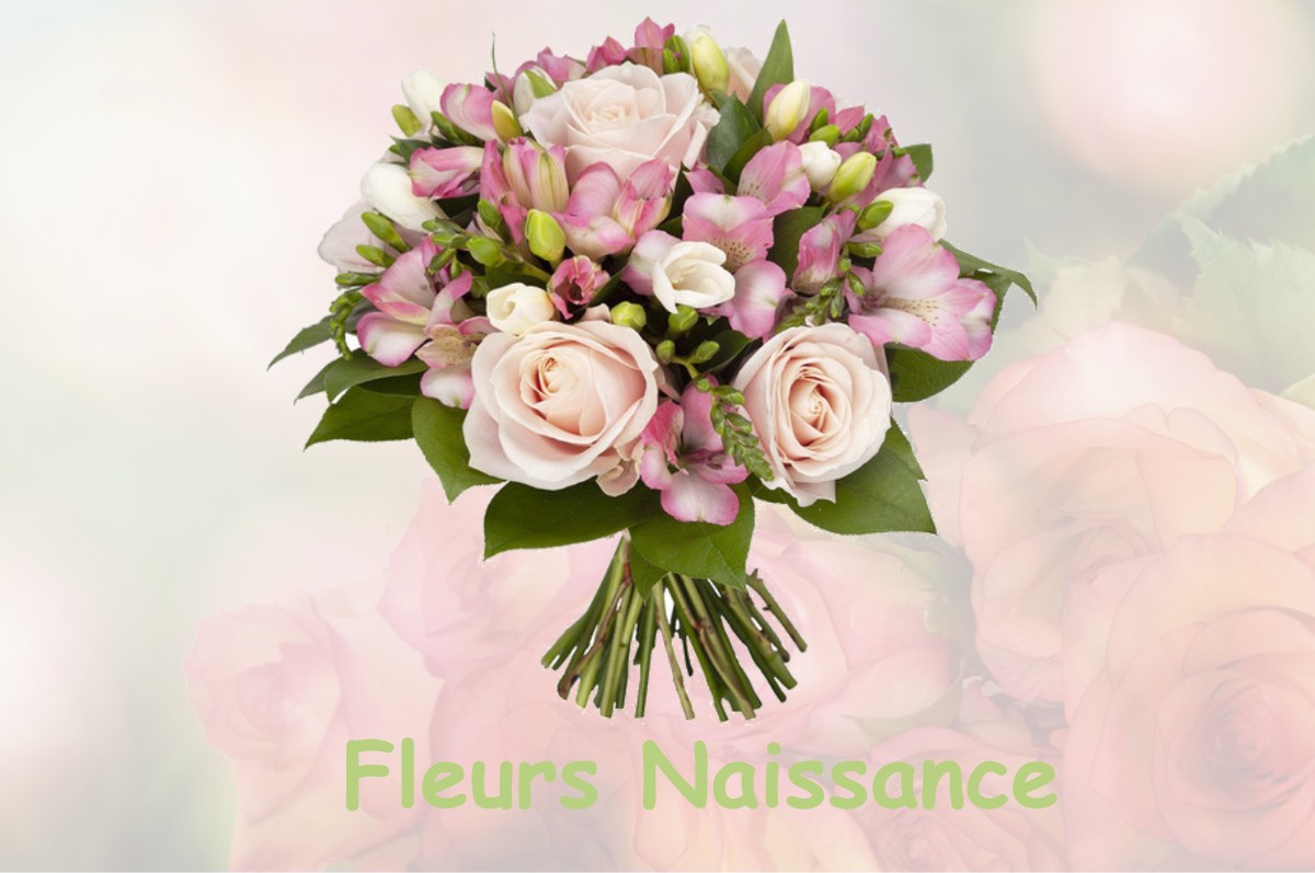 fleurs naissance SAINT-HILAIRE-SAINT-MESMIN