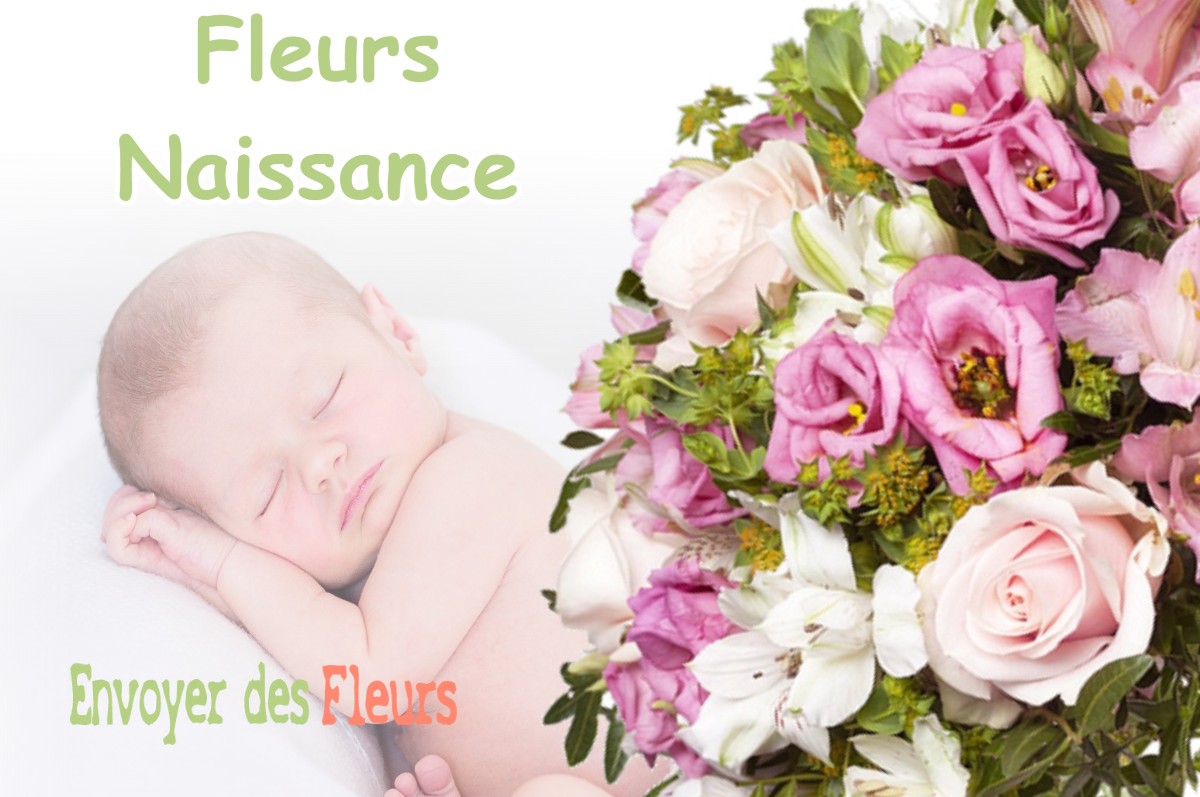 lIVRAISON FLEURS NAISSANCE à SAINT-HILAIRE-SAINT-MESMIN